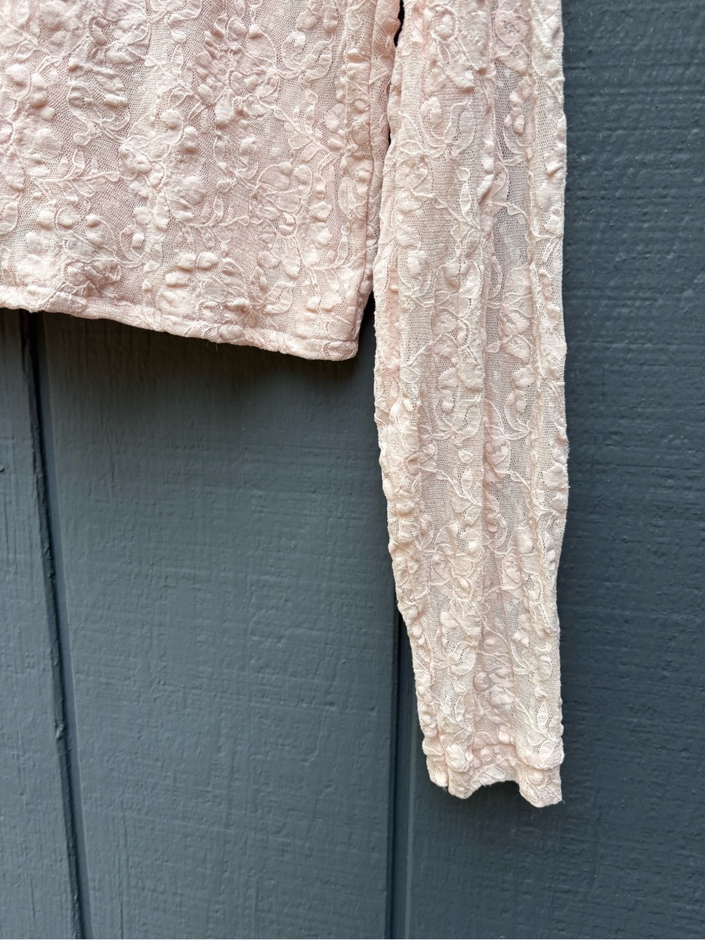 Vintage Pale Pink Lace Long-Sleeve Crop Top - Picture 2 of 4